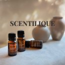 주식회사 웰니스온 이미지