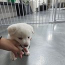 지에스(GS)25 뉴잠원하나점 이미지