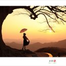 사랑나무아래