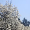 충혼탑 화장실 이미지