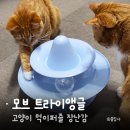 모브 트라이앵글 :: 내돈내산 고양이 먹이퍼즐 장난감