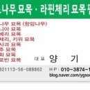 사오리농장 이미지