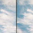 트윈디자인 이미지