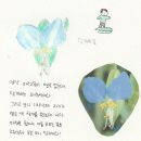 [4-6학년 소리모아부르기] 9월 3일: 달개비꽃 이미지