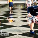 숲의 아이 이미지