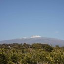 신례2리(공천포) 1 이미지