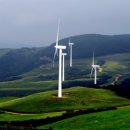 삼양목장 이미지