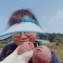 즈려밟고 - 부안군 시장길 25 | [소개팅어플 후기 모음집] 소개팅 어플 후기는 요기가 제일 재밌을걸요?!