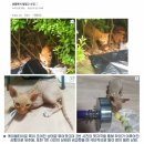 덕진-93 이미지