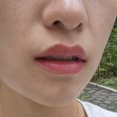 뷰티타투몰 | 다이소 신상 뷰티 추천템 &#39;립타투 본셉 살몬티커...커&#39; 컬러 비교｜웜톤·쿨톤 지속력&amp;내돈내산 후기, 품번