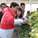 김홍규 농장 이미지