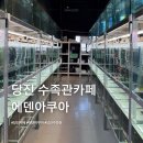 당진 에덴아쿠아 수족관카페 아이랑 방문 솔직후기 (물고기,어항 판매/가격)