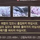 지도포구 이미지