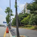 논산대로 이미지