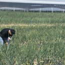 ㈜벤처환경개발 이미지