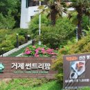 썬트리팜카페