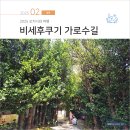 황실 토종닭 | 일본 오키나와 북부 여행, 비세후쿠기 가로수길, 코코식당 맛집 후기