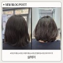 사동화성파크드림경로당 | 경산 사동 미용실 설헤어, 손질 편한 단발C컬펌 리얼 후기