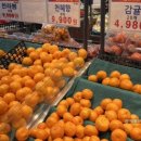 능동할인마트 - 서구 | 능동할인마트
