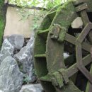 물레방아집 이미지