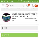 바이.싹스