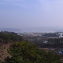 행복한 곤충 이미지