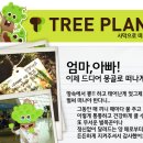 아기나무