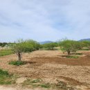 정원의 조성과 관리 이미지