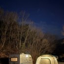 포레스테이 | 청도 계곡 캠핑장 포레스테이 전세캠 후기/ 애견동반 카라반캠핑/ 애개캠핑