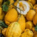 전신순환 필라테스 이미지