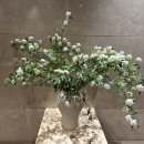 사운드치과의원 이미지