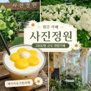 데이지 | 원주 치악산 카페 사진정원 데이지슈크림라떼 후기