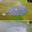 대조태양광발전소 이미지