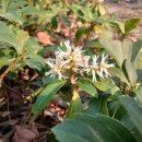 창이대로 이미지