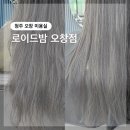 오창수지 | 오창 머리맛집 볼륨매직 잘하는 곳 추천 | 로이드밤 오창점