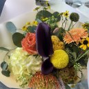 파크 블러썸 이미지