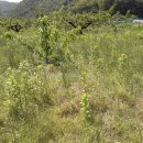 노은면사무소 이미지