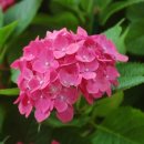 백운-e배움터 이미지