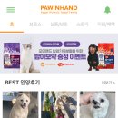 포인사이트 이미지