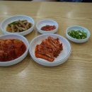 제주야 표선 이미지