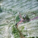 이시골 목장2 이미지