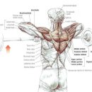 올데이PT 레이디 이미지