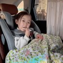 엘림카시트 | 아기 담요 블랭킷 카시트에서 사용하기 좋아요
