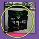 기억나무펜션 네이버블로그