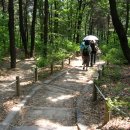 [대전] 탄방동 '남선근린공원 숲길 산책' ＜2＞ 이미지