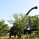 신성리 공룡발자국 이미지