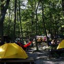 토함산자연휴양림 이미지