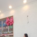 이야이야요 이미지