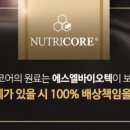 참다한홍삼 파주운정신도시점
