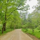 김포 장릉 이미지